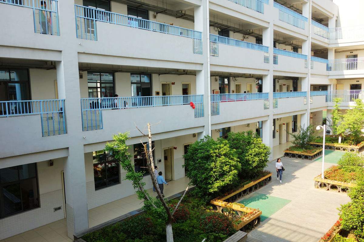 校舍裝修完買了400盆綠蘿凈化空氣，還有孩子開學(xué)***天就熏暈了！