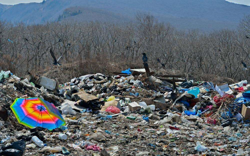 “視覺污染”和“潛在危害”是什么？