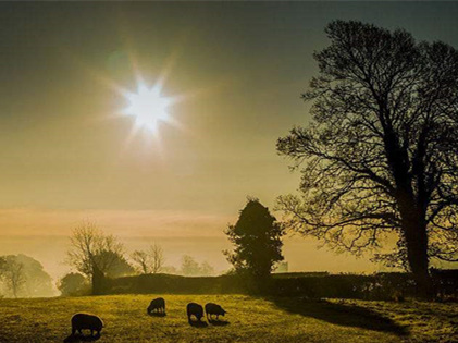 僅靠通風換氣去除甲醛？這樣入住很危險哦！