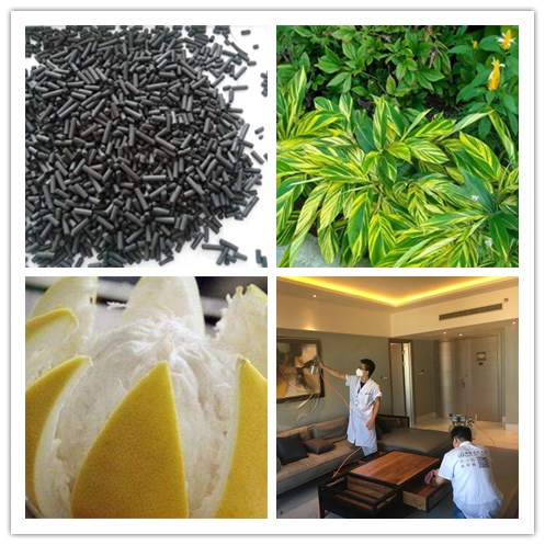 新房除甲醛，您一定不會(huì)失手！