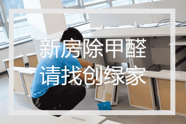 誰說***是多么寂寞，創(chuàng)綠家?guī)惺芟略?00強企業(yè)工作是怎樣的體驗！