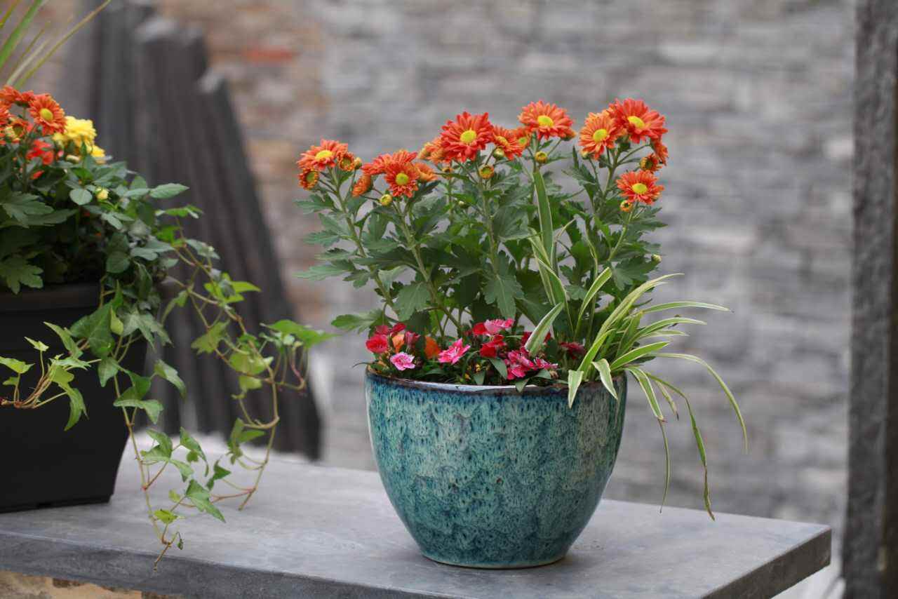 你認(rèn)為網(wǎng)上最正確的除甲醛方法是那個(gè)？