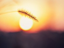 杭州夏季來臨，是除甲醛好時機