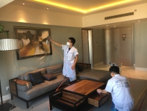 除甲醛公司排名上為什么一直有他？