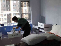 除甲醛公司哪個比較靠譜？