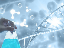 除甲醛需要注意什么？