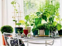 室內(nèi)甲醛污染錯(cuò)誤觀念盤(pán)點(diǎn)