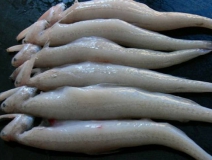 黑心商家添加甲醛讓蝦蟲孱“保鮮”？