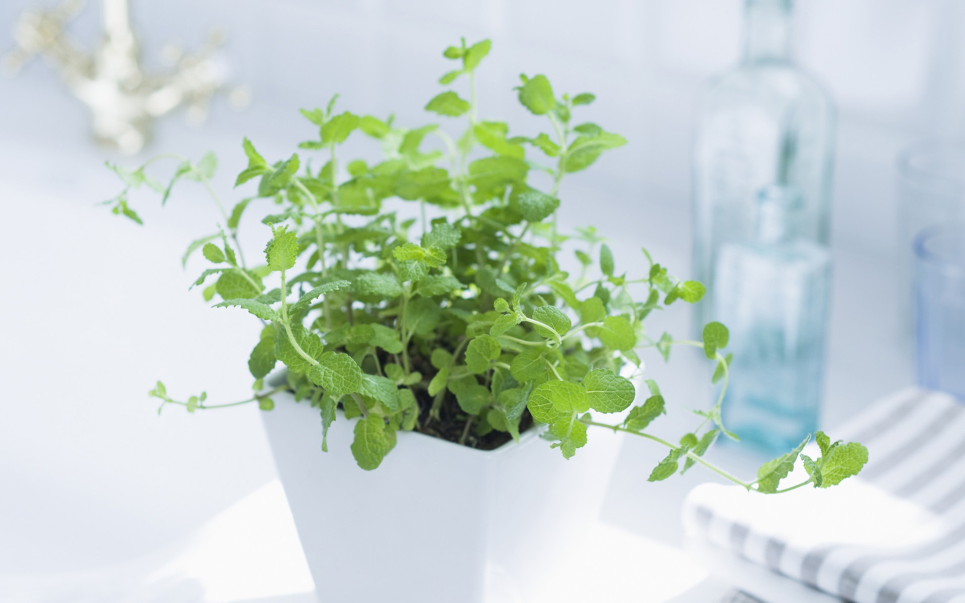 央視***主持人朱迅因癌癥離開大屏幕，這7個壞習慣最容易得癌癥！